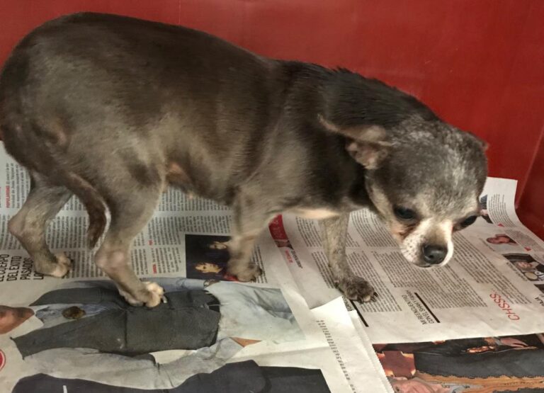 multimedia-foto82974-459-1