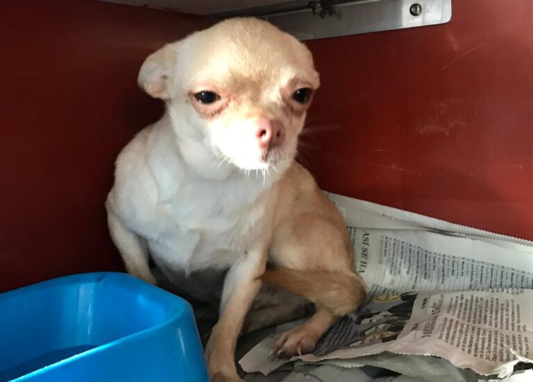 multimedia-foto82979-669-1