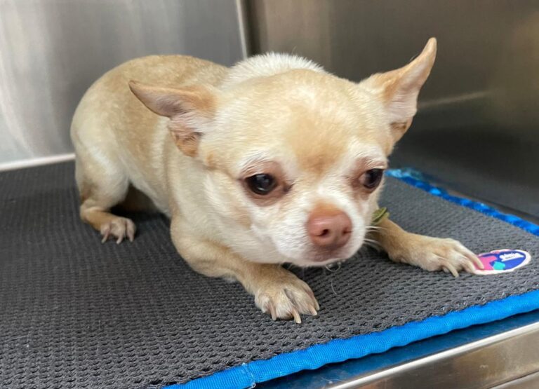 multimedia-foto82980-669-1