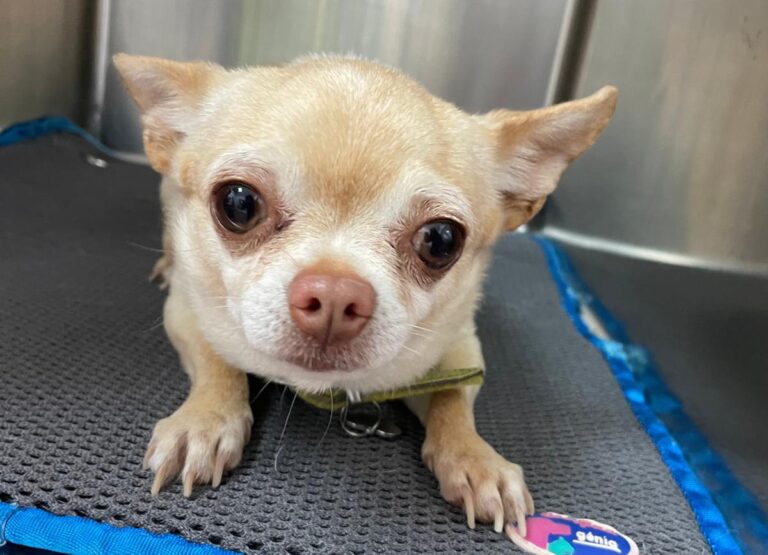 multimedia-foto82982-669-1