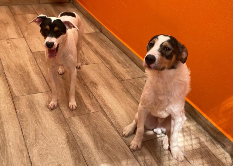 multimedia-foto82984-789-1