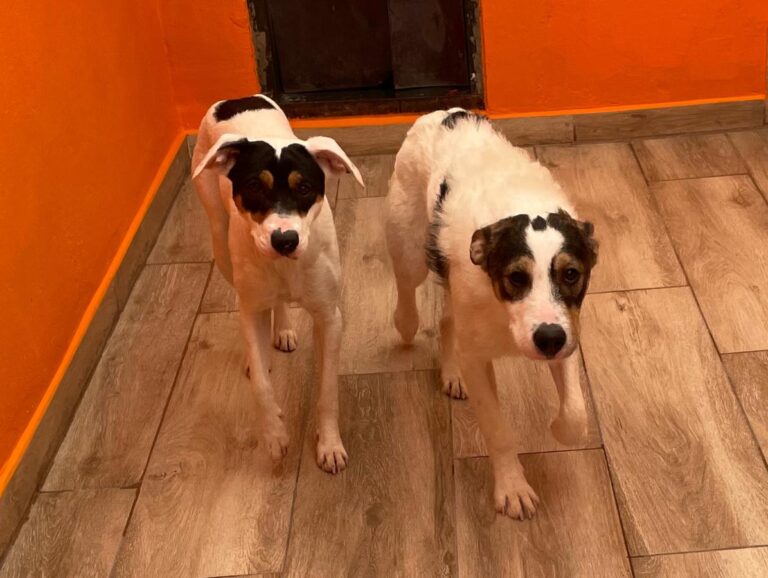 multimedia-foto82985-789-1