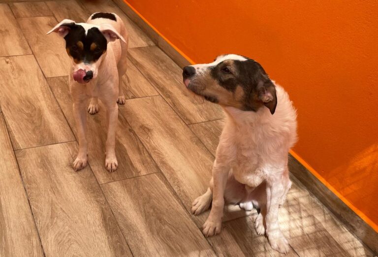 multimedia-foto82986-789-1