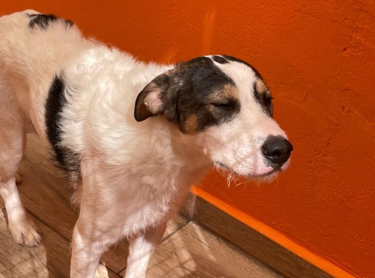 multimedia-foto82987-789-1