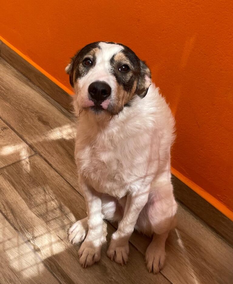 multimedia-foto82988-789-1