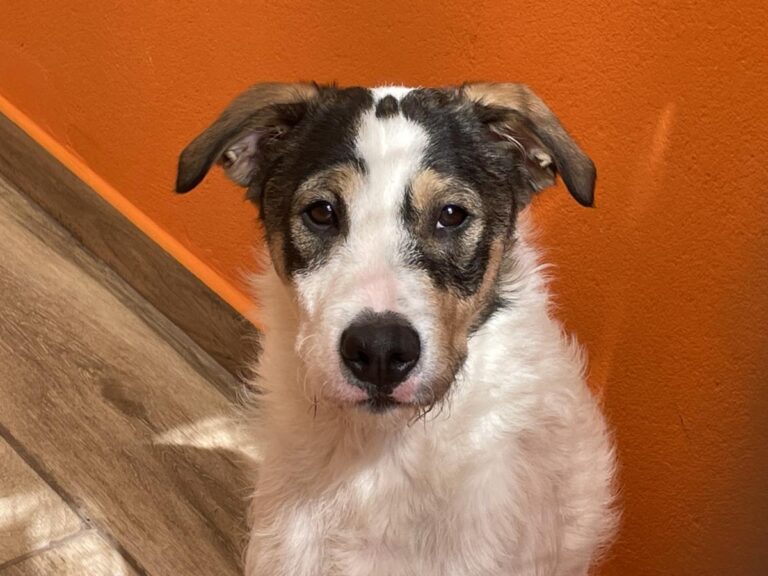 multimedia-foto82990-790-1