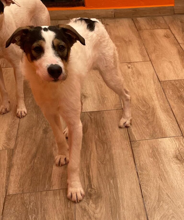 multimedia-foto82992-790-1