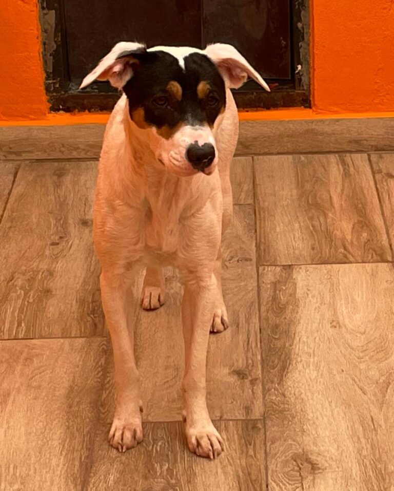 multimedia-foto82995-7-1