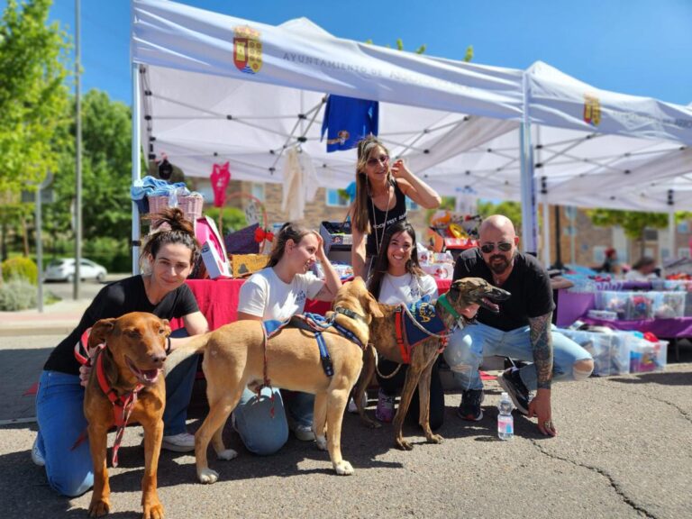 multimedia-foto83001-917-1