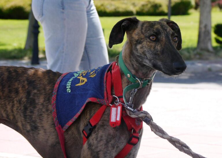 multimedia-foto83007-612-1