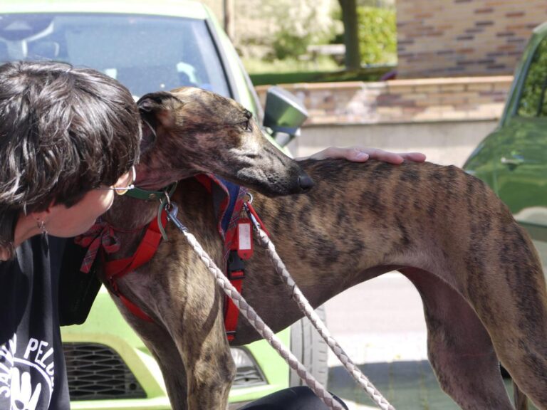 multimedia-foto83008-612-1