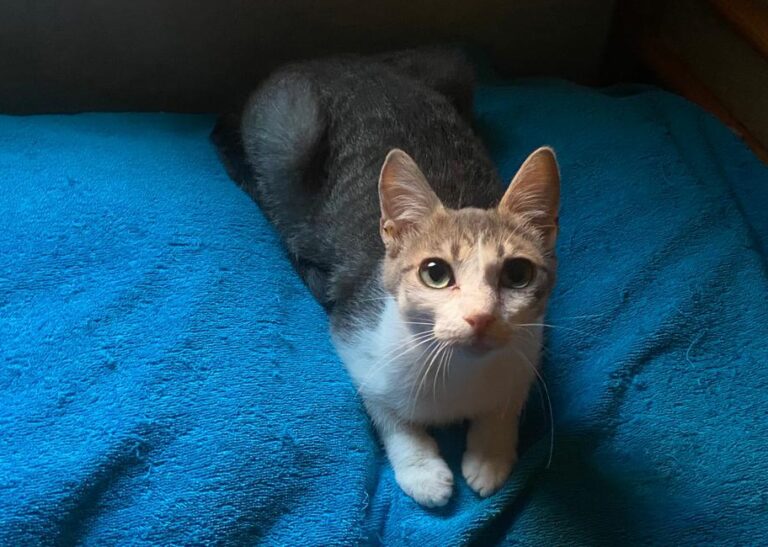 multimedia-foto83018-44-1