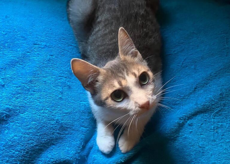 multimedia-foto83019-45-1