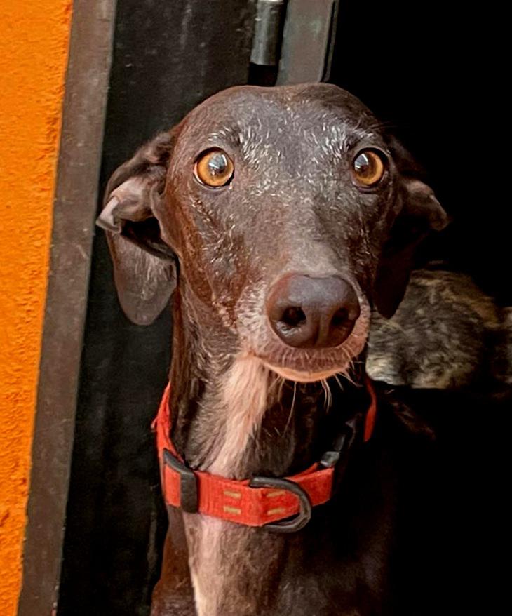 multimedia-foto83068-898-1