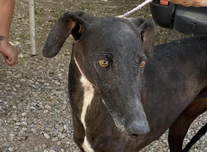 multimedia-foto83074-899-1