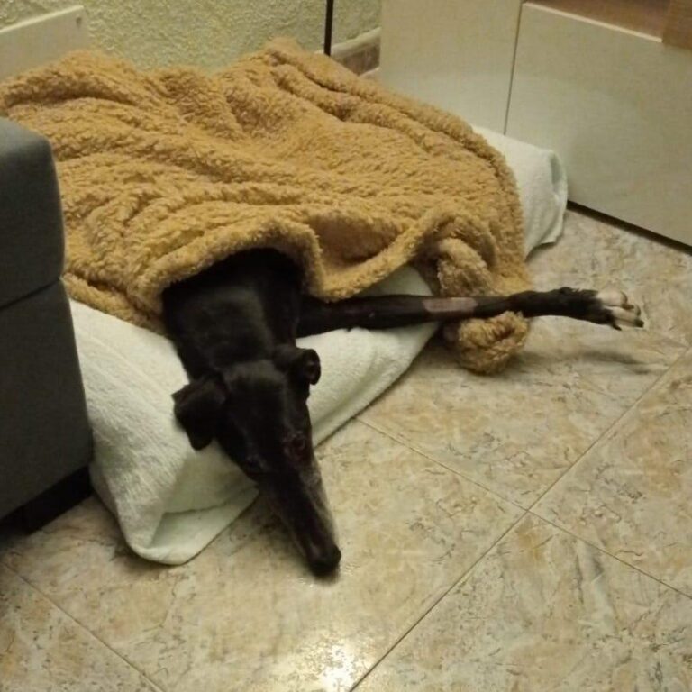 multimedia-foto83156-415-1