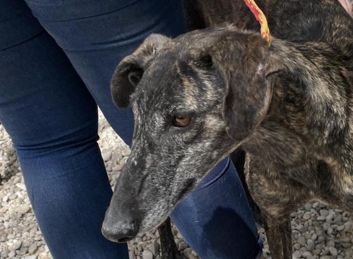 multimedia-foto83159-578-1