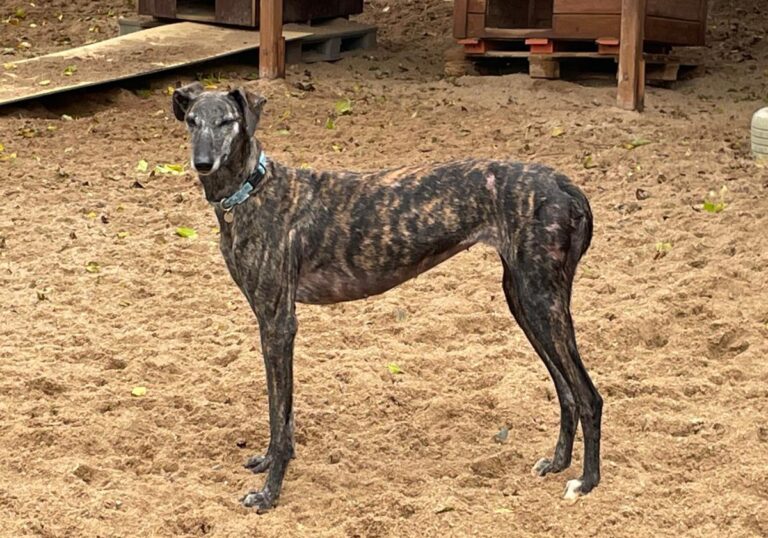 multimedia-foto83164-579-1