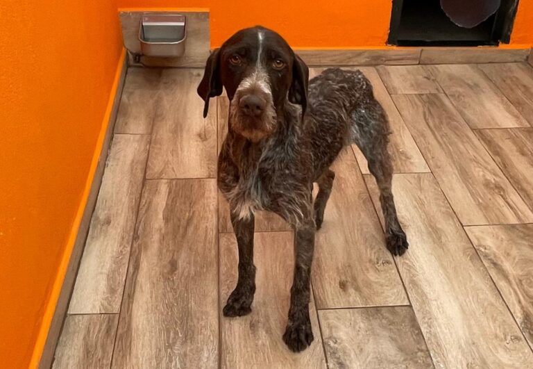 multimedia-foto83221-736-1