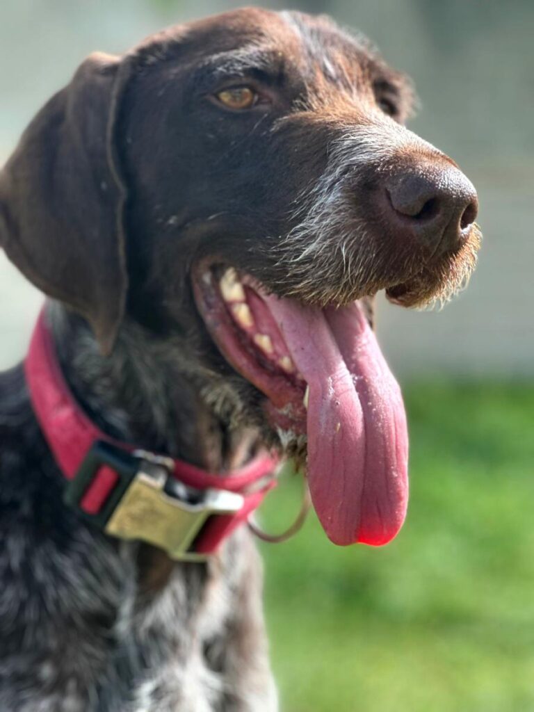 multimedia-foto83223-736-1