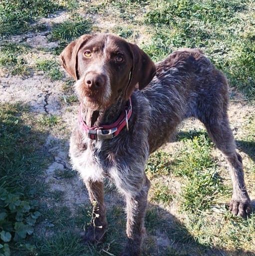 multimedia-foto83224-736-1