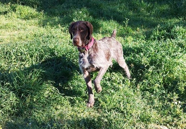 multimedia-foto83226-737-1