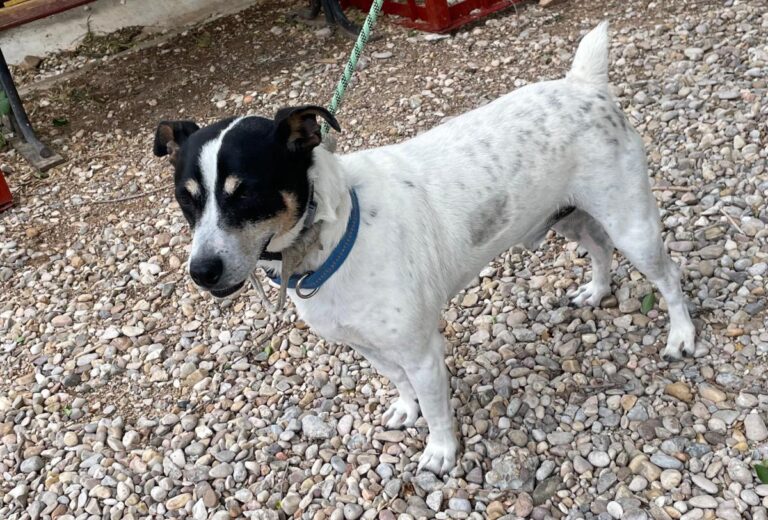 multimedia-foto83269-755-1