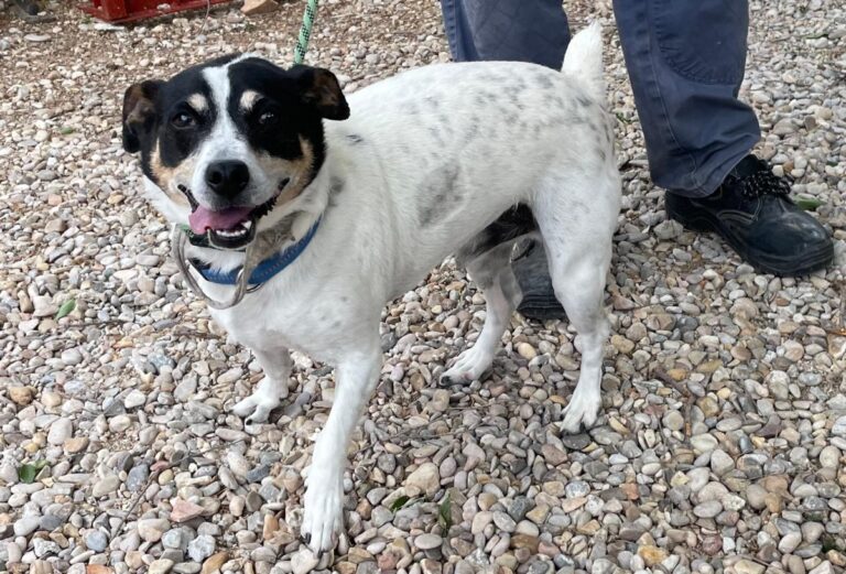 multimedia-foto83270-755-1