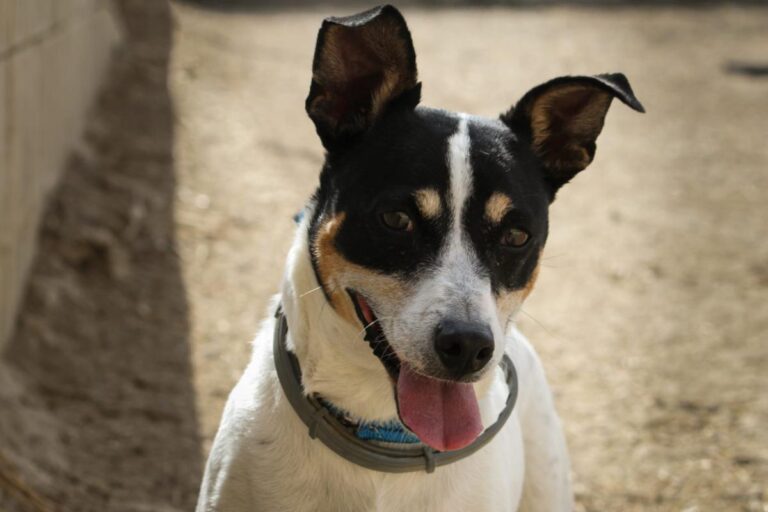 multimedia-foto83274-792-1