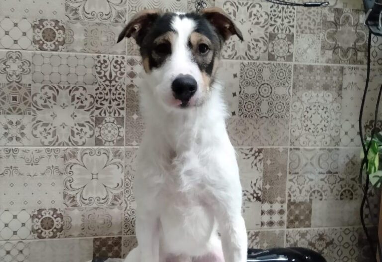 multimedia-foto83281-30-1