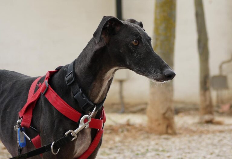 multimedia-foto83403-422-1