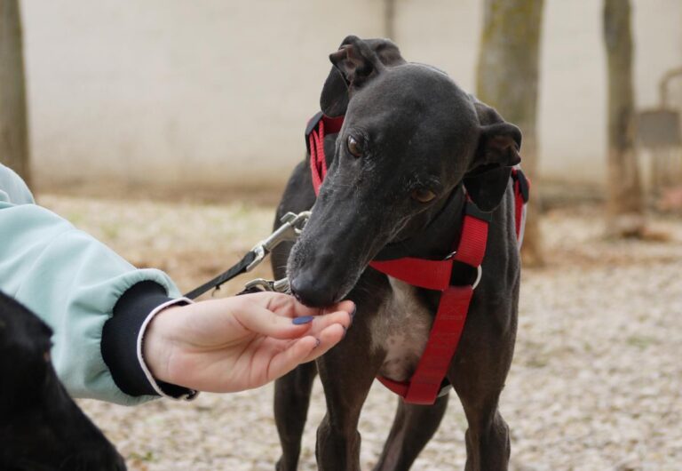 multimedia-foto83404-422-1