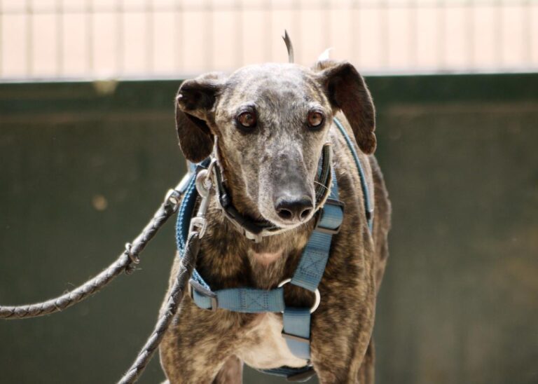 multimedia-foto83416-322-1