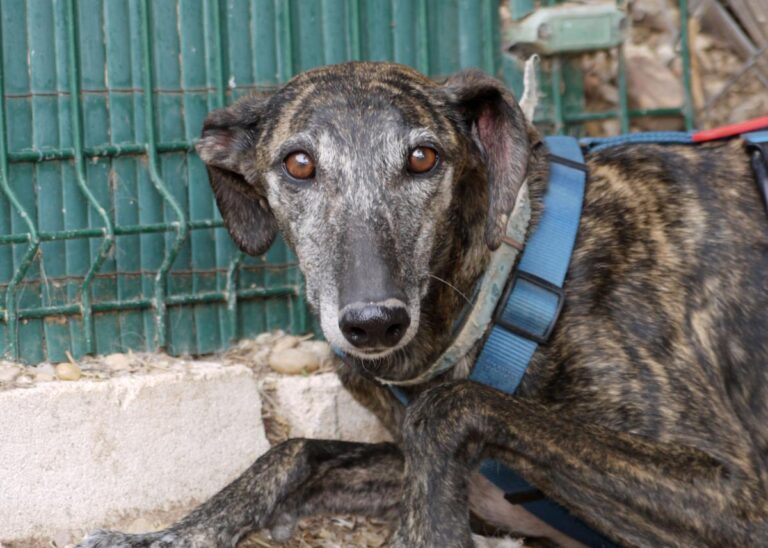 multimedia-foto83419-323-1