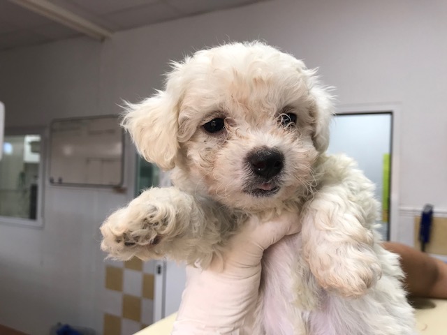 multimedia-foto83439-487-1