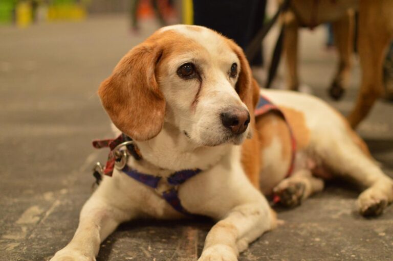 multimedia-foto83468-697-1