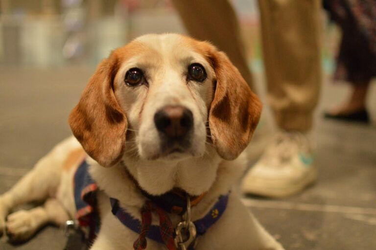 multimedia-foto83469-697-1