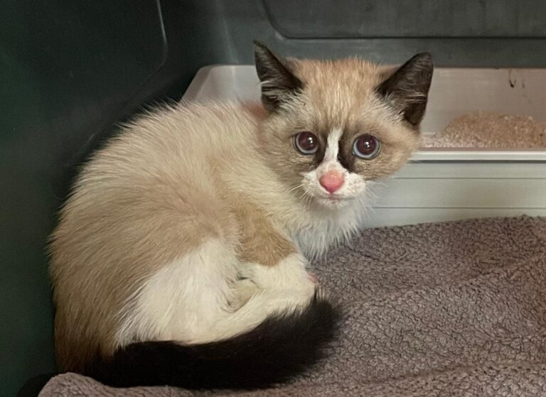 multimedia-foto83574-393-1