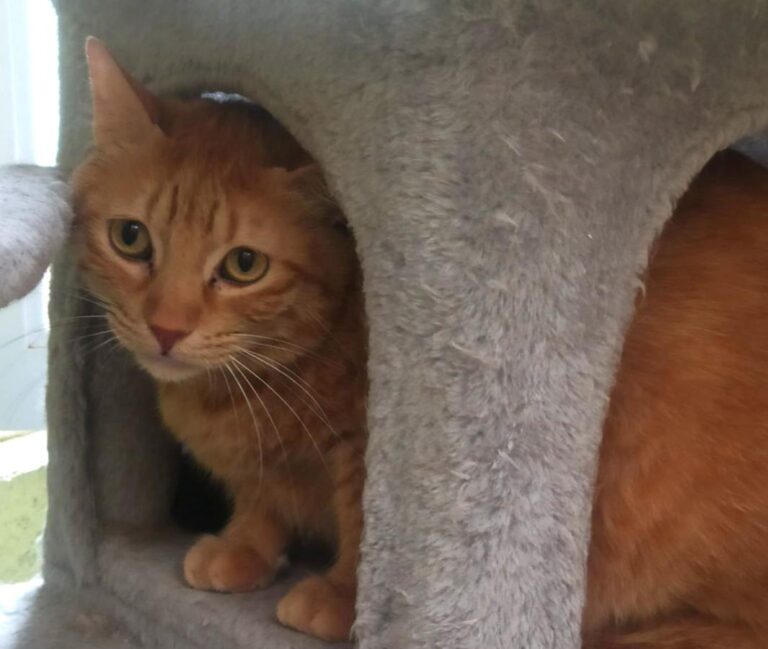 multimedia-foto83664-209-1