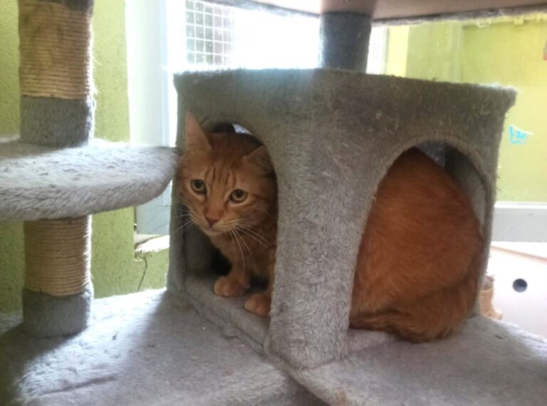 multimedia-foto83665-209-1