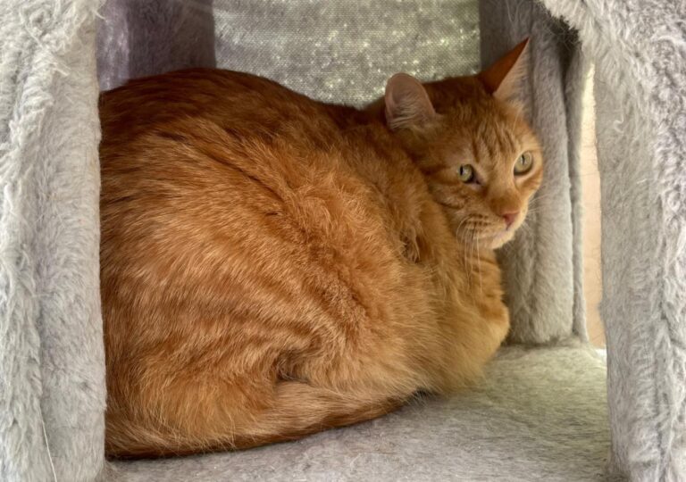 multimedia-foto83666-209-1