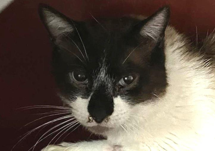 multimedia-foto83682-454-1