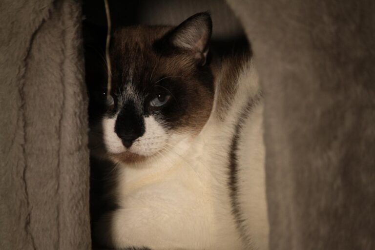 multimedia-foto83683-454-1