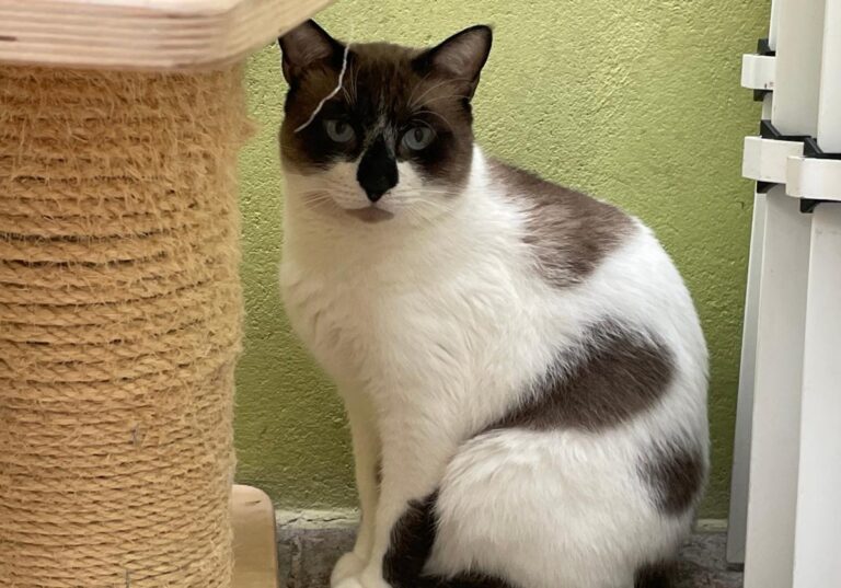 multimedia-foto83684-455-1