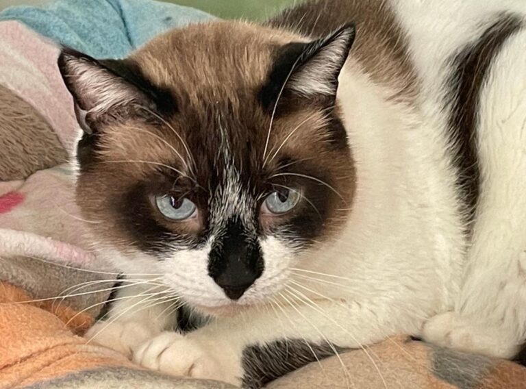 multimedia-foto83685-455-1