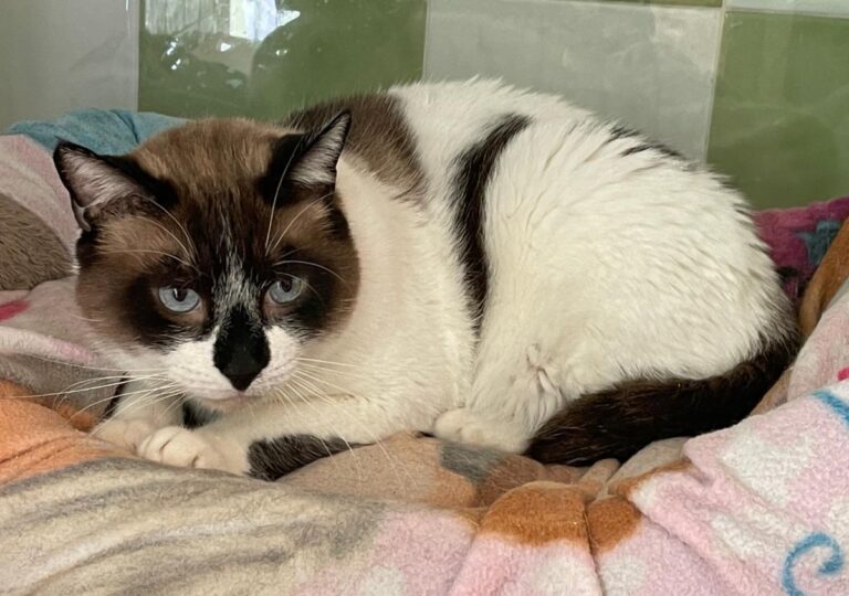 multimedia-foto83686-455-1