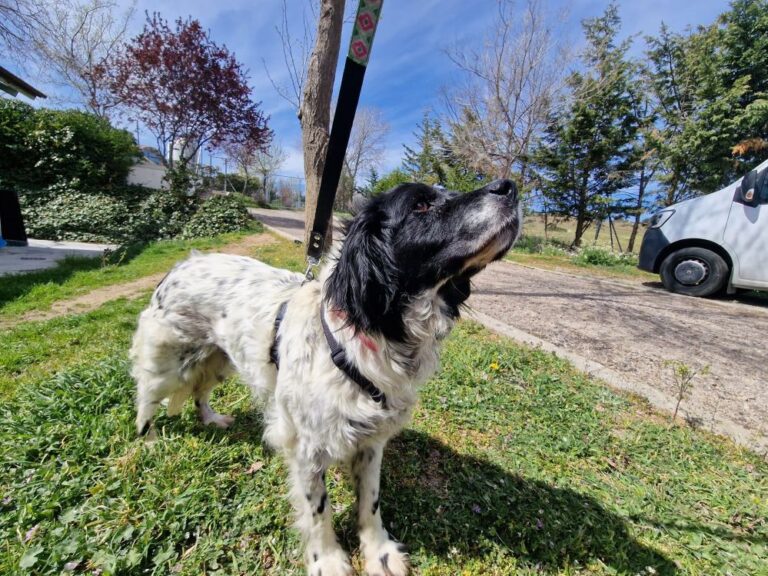 multimedia-foto83743-130-1