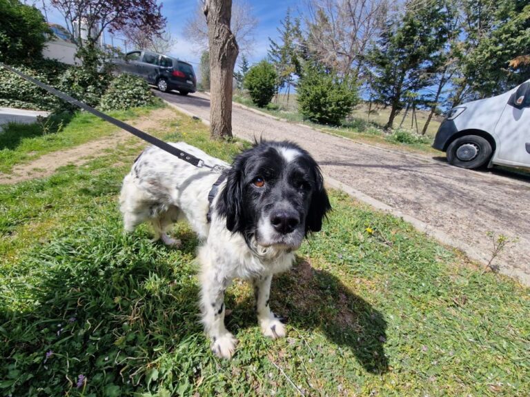 multimedia-foto83744-130-1