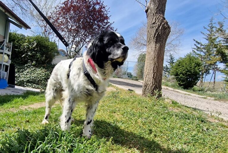 multimedia-foto83745-131-1