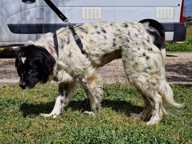 multimedia-foto83746-131-1